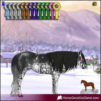 Horse Color:Gray White Spotted Brown Mushroom  and Gray White Spotted Brown Mushroom 