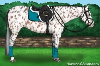 Horse Color:Bay Near Leopard  and Bay Near Leopard 