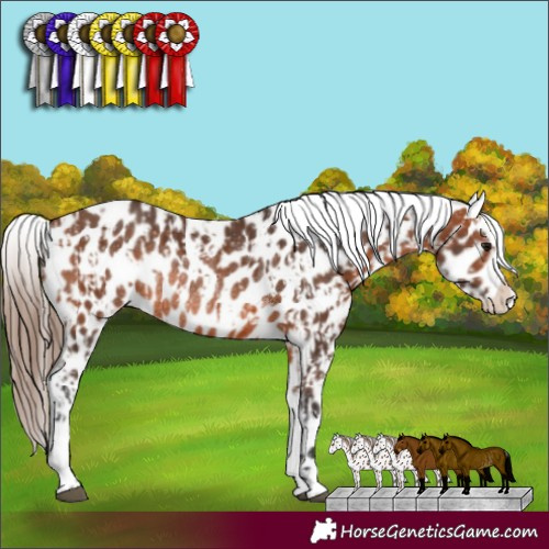 Horse Color:Bay Near Leopard  and Bay Near Leopard Rabicano 