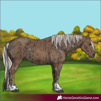 Horse Color:Smoky Black and Silver Smoky Black