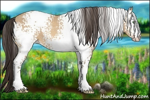 Horse Color:White Spotted Amber Cream Champagne 