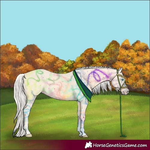 Horse Color:Cremello 