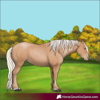 Horse Color:Silver Black Pearl 