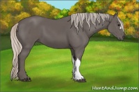 Horse Color:Silver Black 