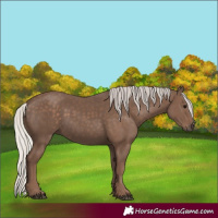 Horse Color:Silver Black 