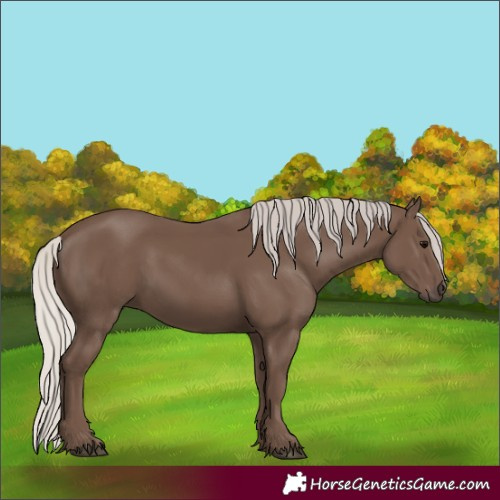 Horse Color:Silver Black 