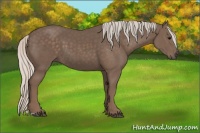 Horse Color:Silver Black 