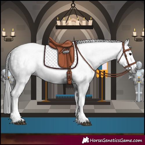 Horse Color:Gray Black Splash Frame