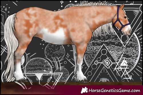 Horse Color:White Spotted Silver Bay Sabino Frame 