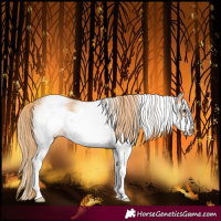 Horse Color:White Spotted Chestnut Sabino Frame 