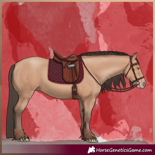 Horse Color:Amber Champagne 