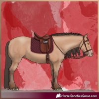 Horse Color:Amber Champagne 