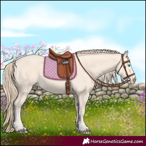 Horse Color:Perlino 