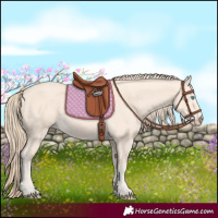 Horse Color:Perlino 