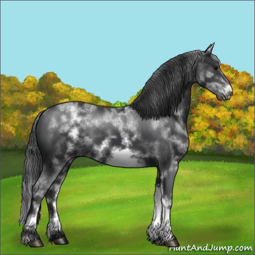 Horse Color:White Spotted Black Sabino Frame 