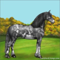 Horse Color:White Spotted Black Sabino Frame