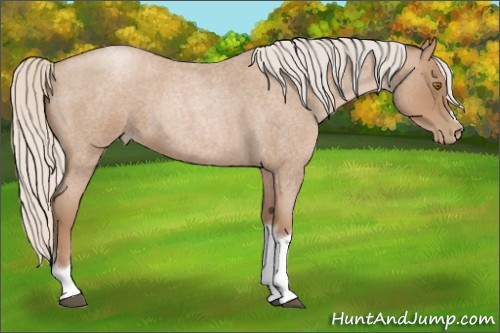Horse Color:Silver Blue Roan Pearl Tobiano Frame 