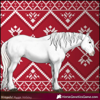 Horse Color:Black Appaloosa  and Silver Black Appaloosa 
