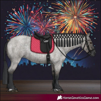 Horse Color:Blue Roan  and Grullo Roan 