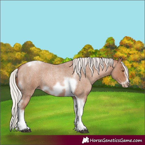 Horse Color:Silver Blue Roan Pearl Tobiano Frame 