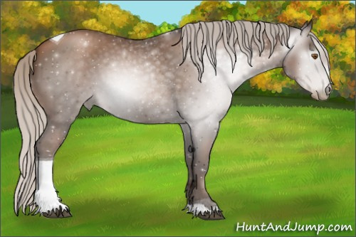 Horse Color:Gray Silver Black Pearl Tobiano 
