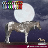 Horse Color:Blue Onyx Tobiano  and Grullo Tobiano 