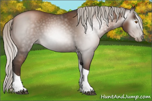 Horse Color:Gray Silver Black Pearl Tobiano 