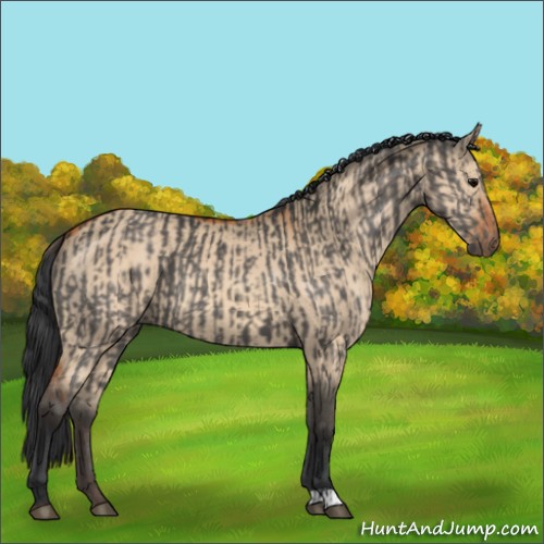 Horse Color:Grullo and Bay Dun