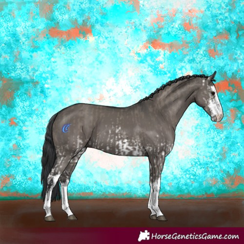Horse Color:White Spotted Grullo  and White Spotted Grullo 