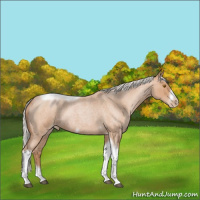 Horse Color:Silver Blue Roan Pearl Tobiano Frame 