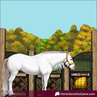 Horse Color:Grullo Varnish 