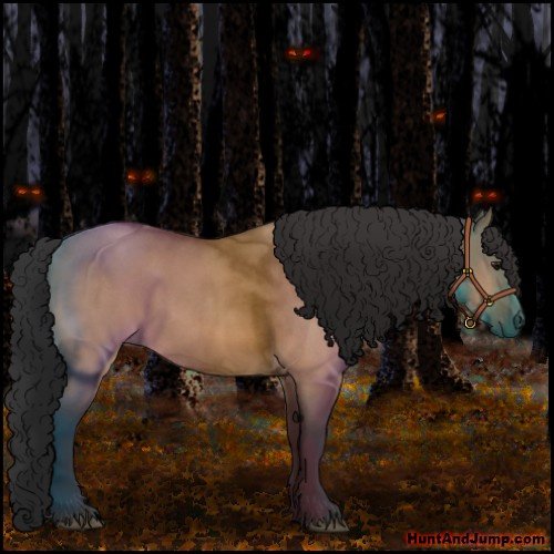 Horse Color:Bay Roan Dun 