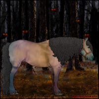 Horse Color:Bay Roan Dun 