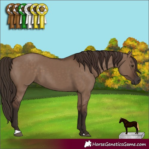 Horse Color:Liver Red Dun 