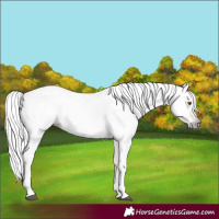 Horse Color:Gray Silver Black Pearl Tobiano 