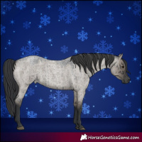 Horse Color:Grullo Roan Brindle