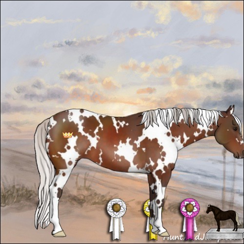 Horse Color:White Spotted Silver Bay 