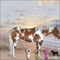 Horse Color:White Spotted Silver Bay