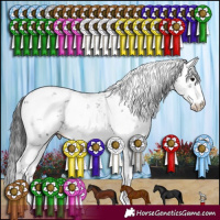 Horse Color:Black Sabino 