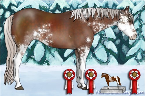 Horse Color:Silver Brown Sabino 