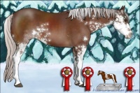 Horse Color:Silver Brown Sabino 