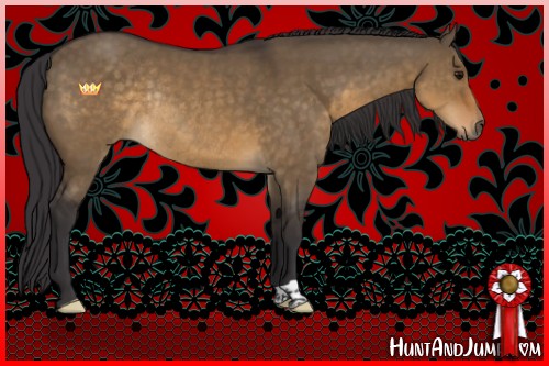 Horse Color:Buckskin Dun Rabicano 