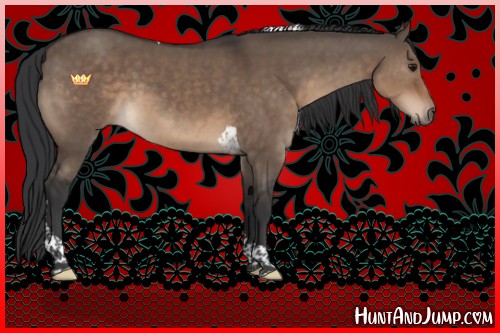 Horse Color:Brown Dun Tobiano 