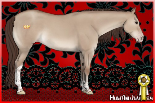 Horse Color:Classic Champagne Dun Tobiano Rabicano 