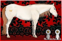 Horse Color:Classic Cream Champagne Pearl Dun 