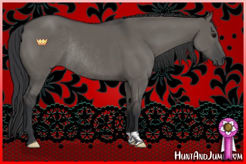 Horse Color:Grullo Rabicano 