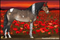 Horse Color:Brown Dun Tobiano Rabicano Brindle 