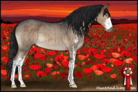 Horse Color:Gray Brown Roan Dun Sabino Varnish Brindle 