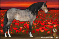 Horse Color:Gray Brown Roan Dun Sabino Brindle