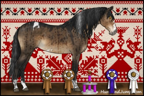 Horse Color:Gray Brown Dun Sabino Appaloosa Brindle